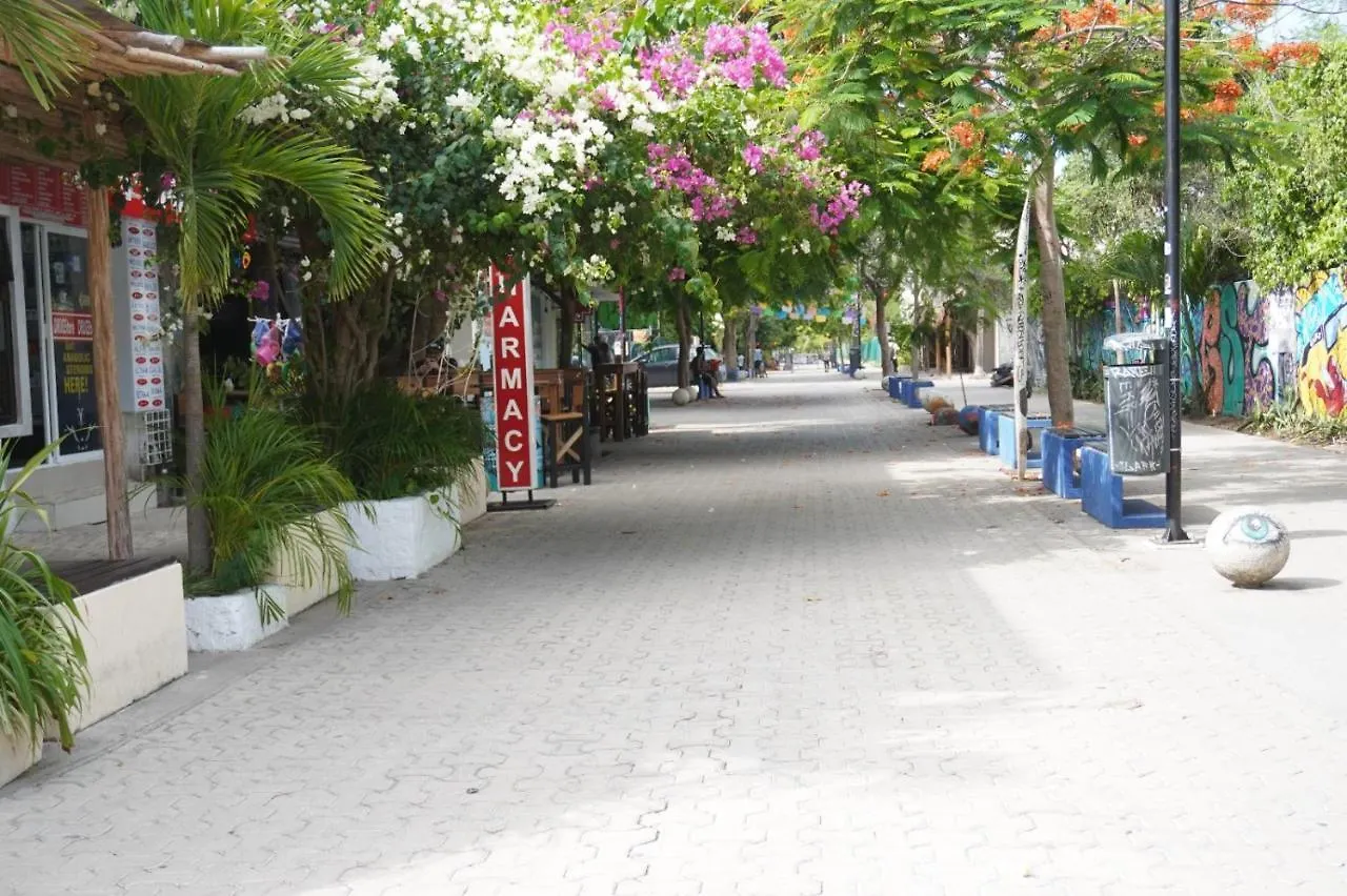 Apartament Sea Dream Playa del Carmen Meksyk